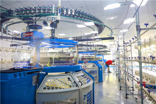 威海智造再提速 36家市級(jí)智能工廠獲認(rèn)定，智能水務(wù)系統(tǒng)開發(fā)引領(lǐng)產(chǎn)業(yè)升級(jí)